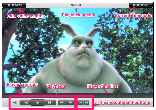 ../../_images/player_overview.png