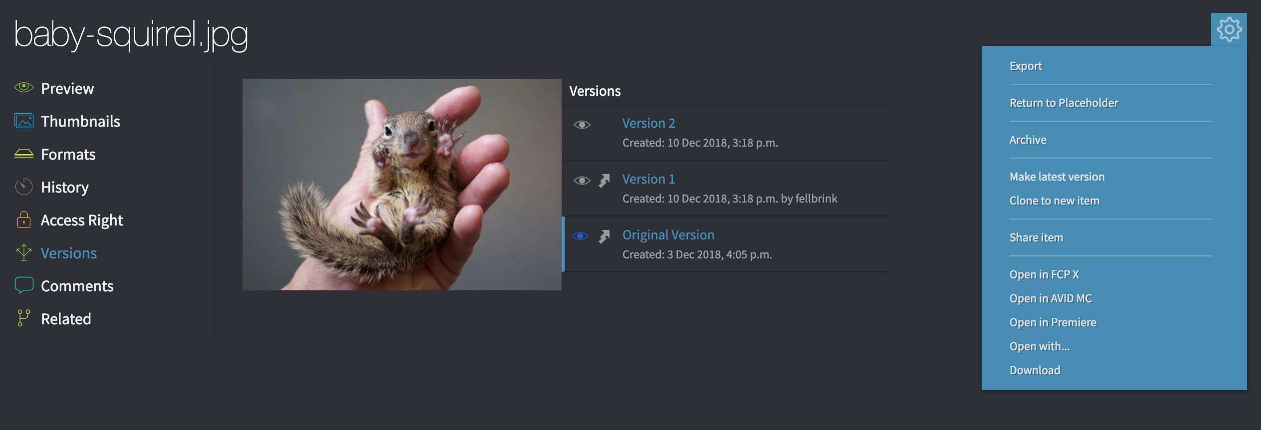 _images/portal_media_item-versions.png